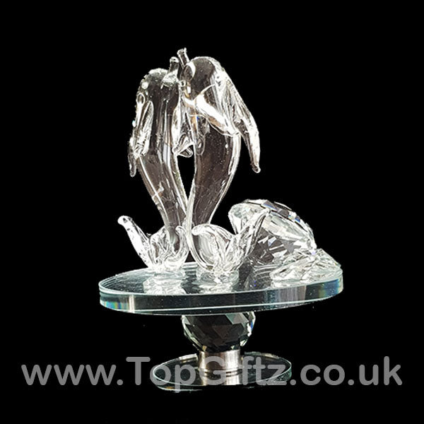 Dolphins Crystal Clear Ornament On Rotating Mirror Glass Base - TopGiftz