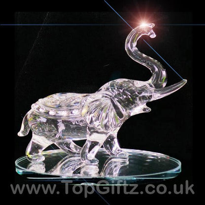 Elephant Crystal Clear Cut Glass Ornament Large - 14cm High - TopGiftz