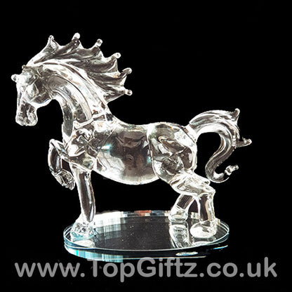 Horse Galloping Crystal Clear Glass Ornament Oval Mirror 18cm - TopGiftz
