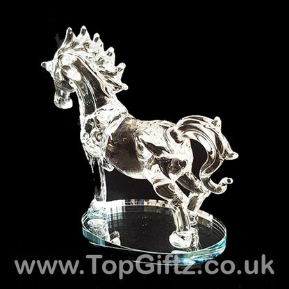 Horse Galloping Crystal Clear Glass Ornament Oval Mirror 18cm - TopGiftz