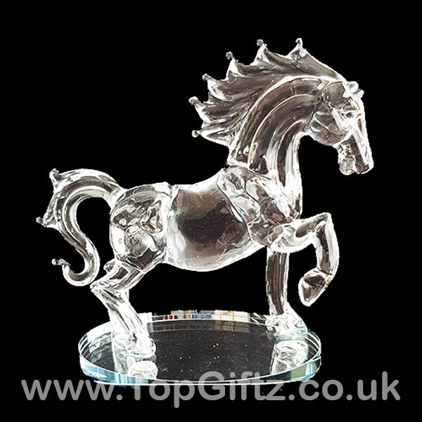 Horse Galloping Crystal Clear Glass Ornament Oval Mirror 18cm - TopGiftz