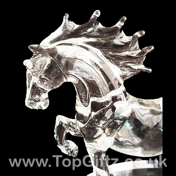 Horse Galloping Crystal Clear Glass Ornament Oval Mirror 18cm - TopGiftz