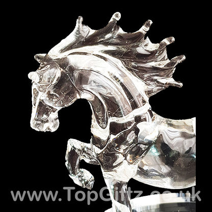 Horse Galloping Crystal Clear Glass Ornament Oval Mirror 18cm - TopGiftz