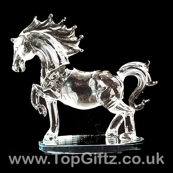 Horse Galloping Crystal Clear Glass Ornament Oval Mirror 18cm - TopGiftz