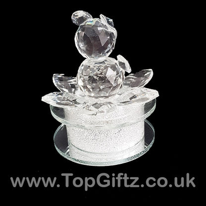 Crystal Clear Teddy Bear Ornament Sitting Circular Round LED - TopGiftz